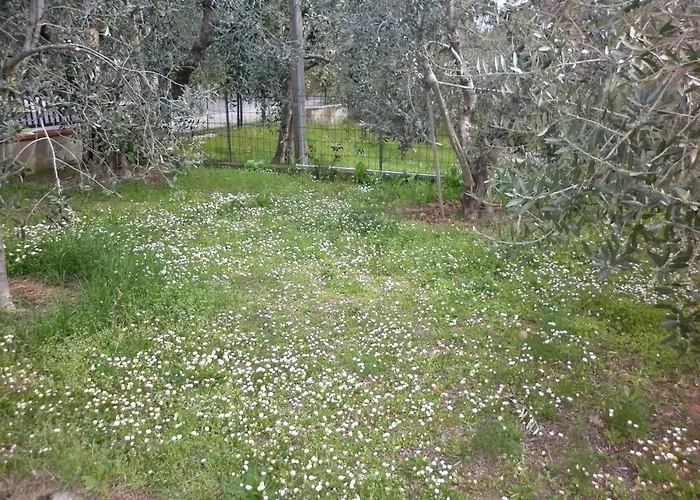 Casa Gli Ulivi