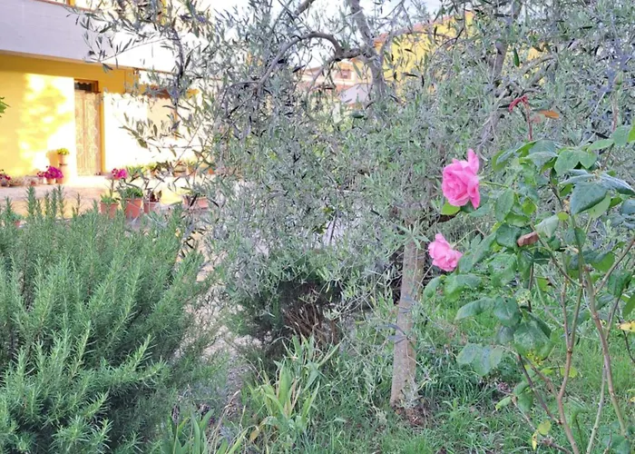 Casa Gli Ulivi